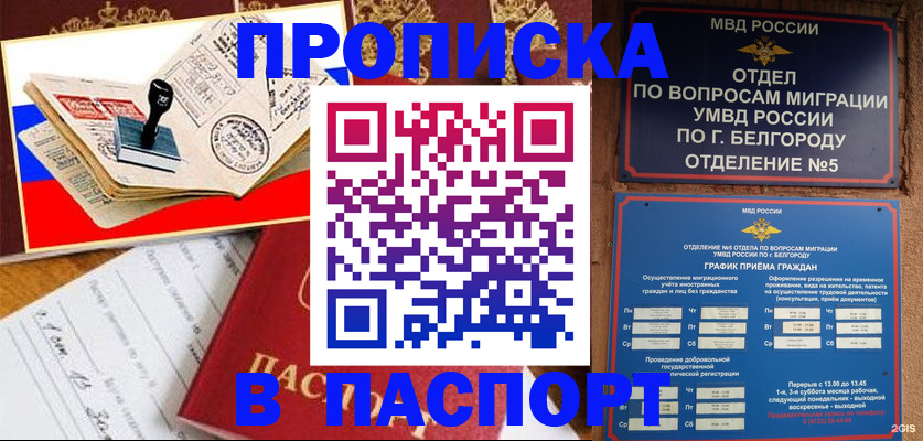 купить прописку в Покрове